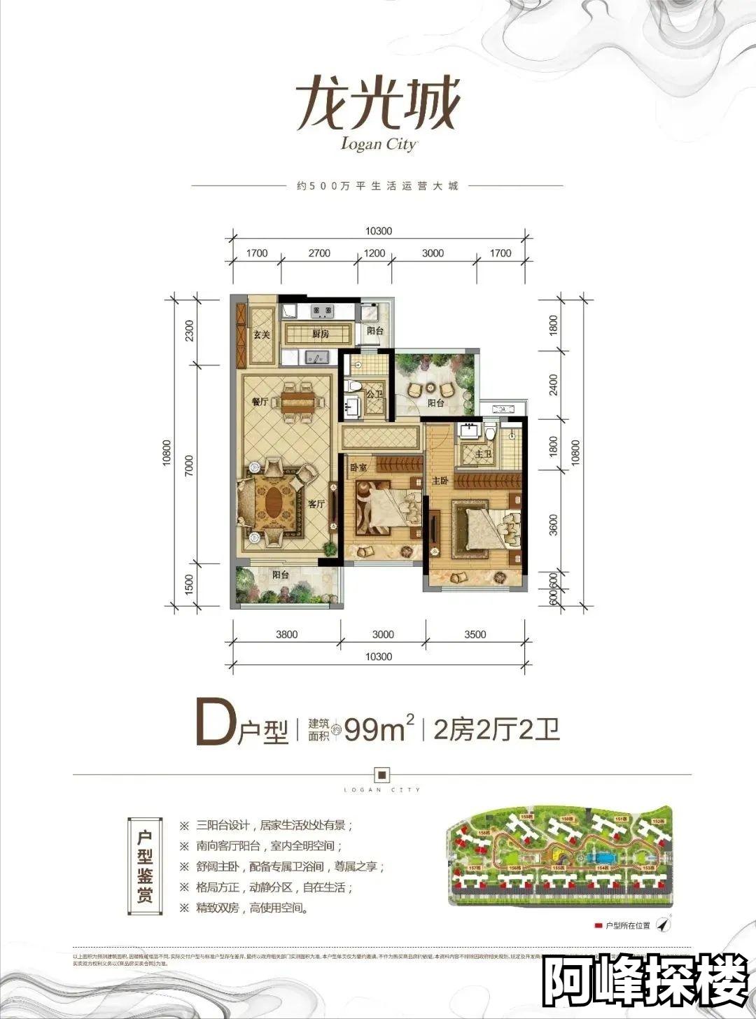 大亚湾临深第一梯队龙光城,惠州临深龙光城独栋别墅
