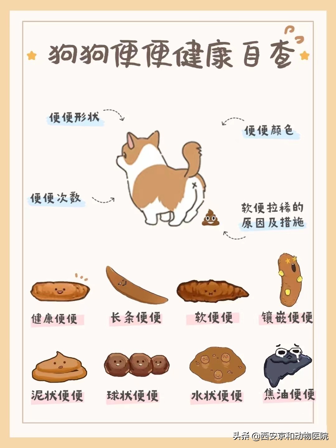 狗狗健康的便便是怎么样的,狗狗健康自测指南