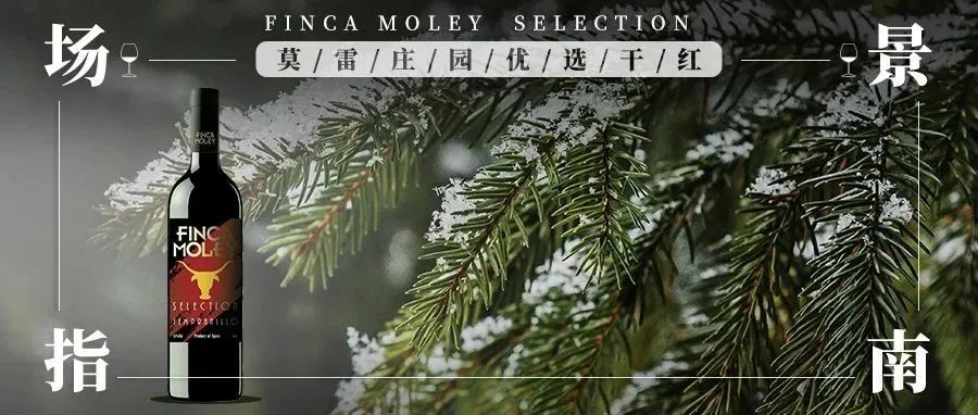 卡塔尔世界杯伙食,卡塔尔球场自助餐