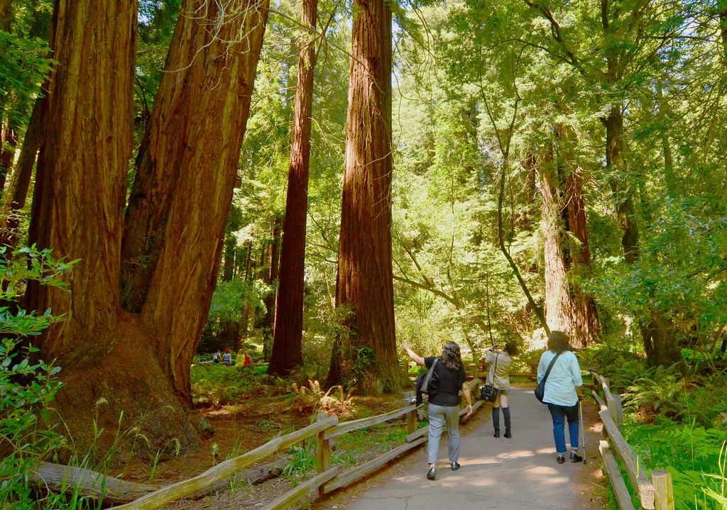 去大湾区注意事项,去广东读书要什么条件