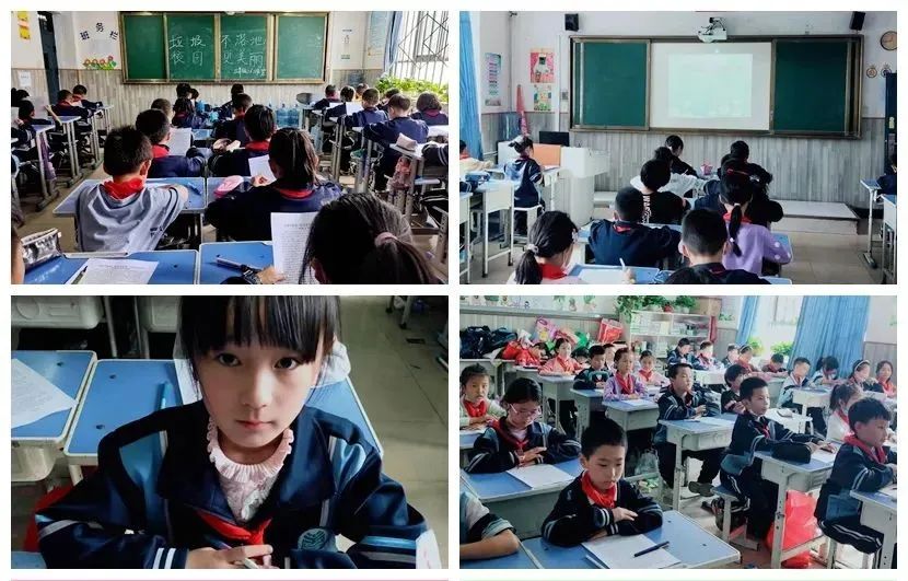 垃圾不落地校园更美丽倡议的内容,兰州市成功小学