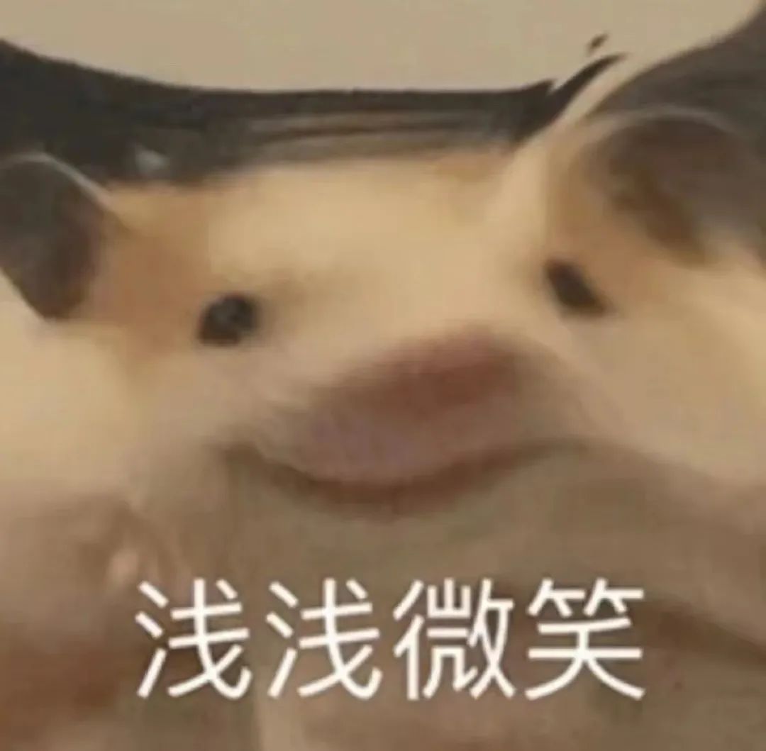 买爱马仕被看不起,花五十多万买爱马仕