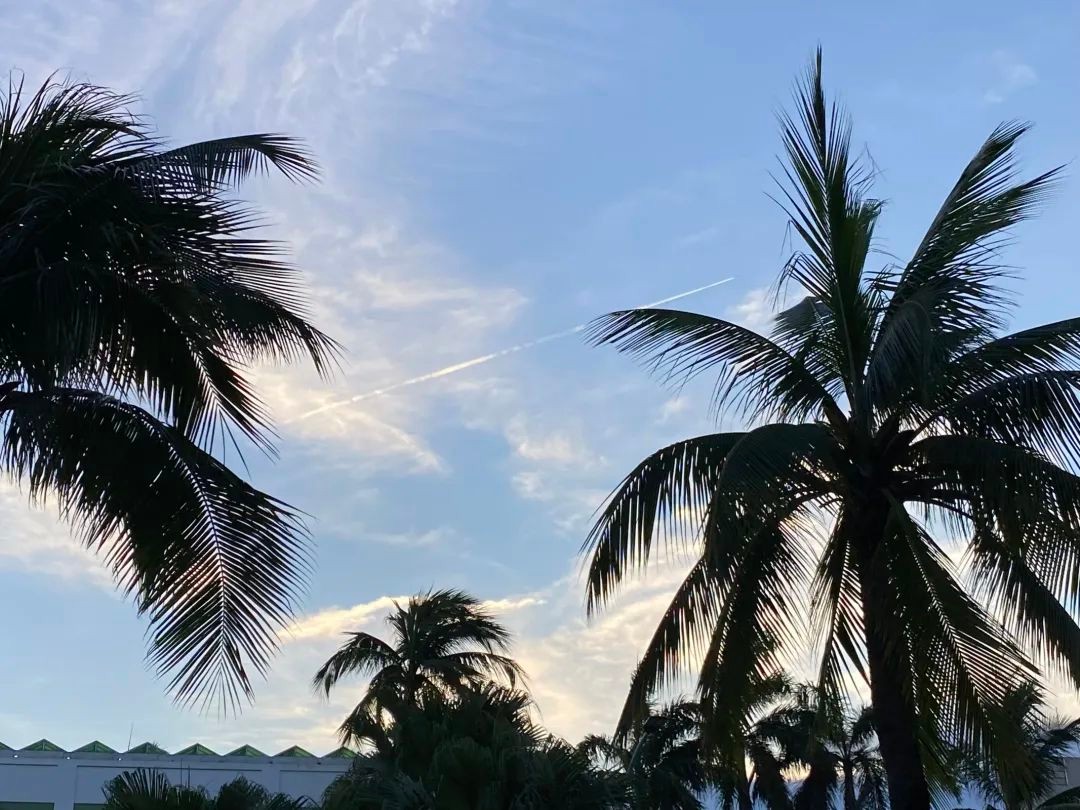 海南大学招生章程,海南大学2019全日制招生简章