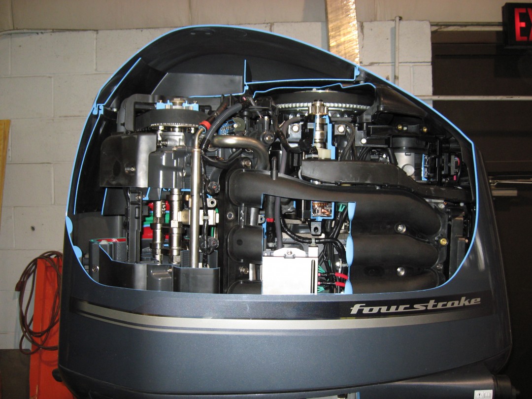 60样东西，切成一半，让你看得一清二楚