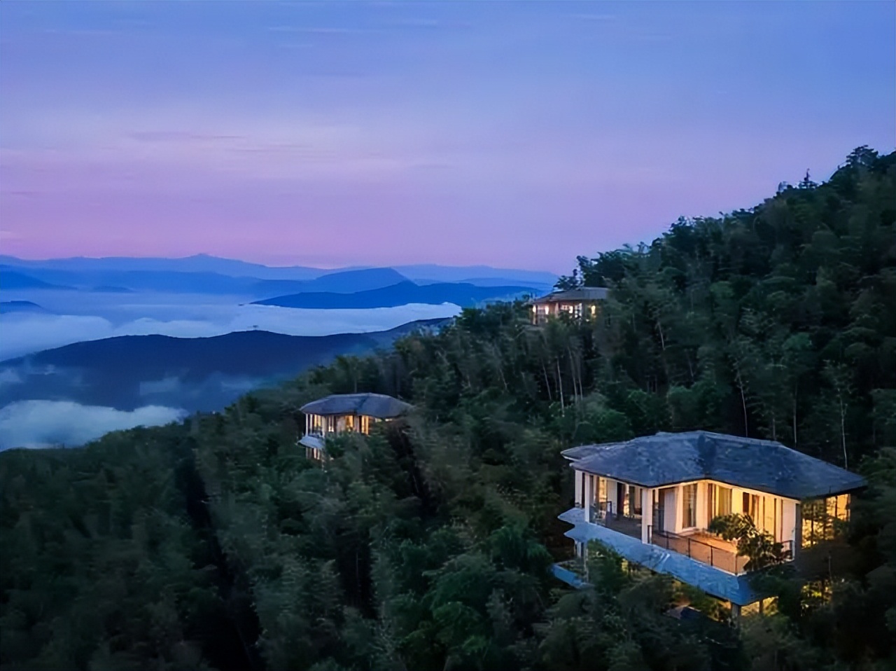 南山竹海御水温泉竹溪谷酒店,御水温泉竹溪谷酒店赏竹