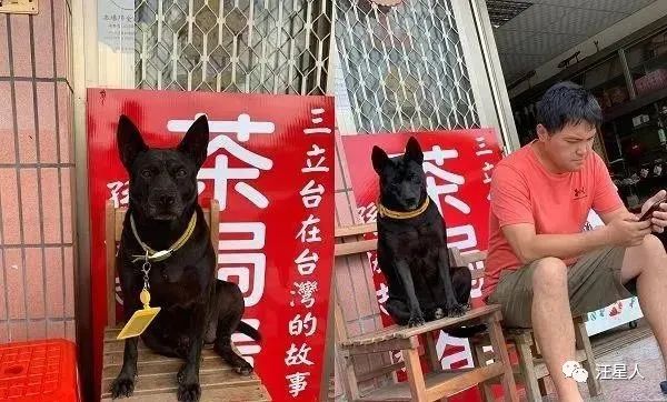 台湾社畜狗子，竟因为伙食不好一上班就摆臭脸