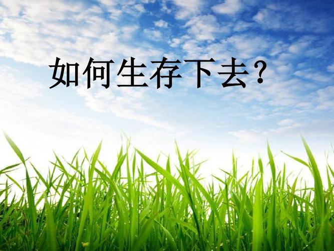 2023社区团购产业链蓝皮书,个人社区团购未来趋势分析