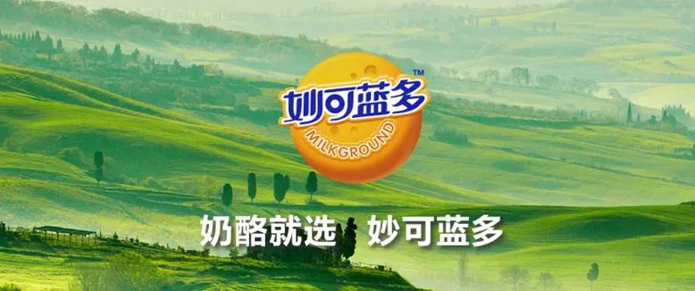 11大范式：拆解那些价值千万的定位广告语