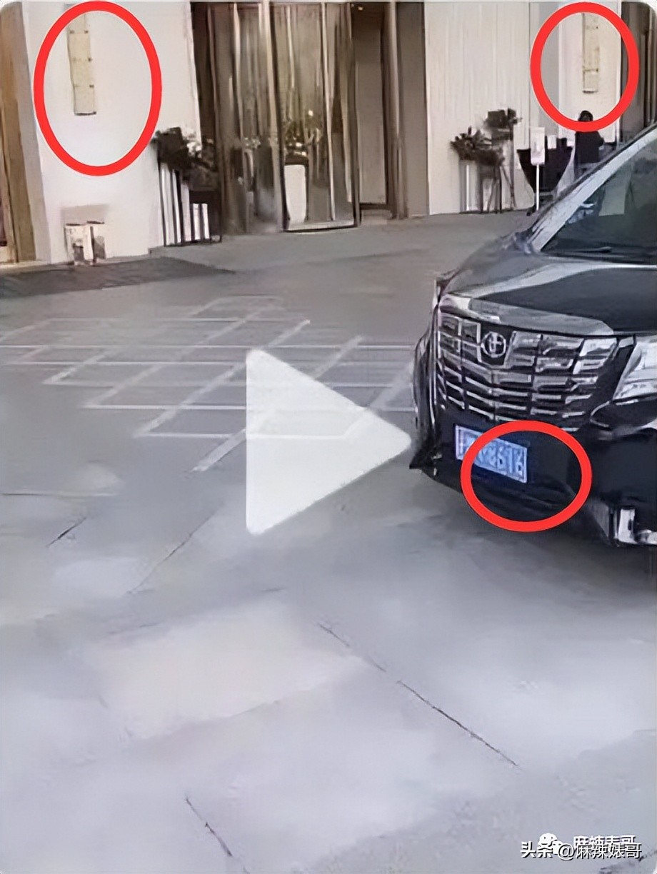 热带鱼cp是哪个,热带鱼cp是真的吗