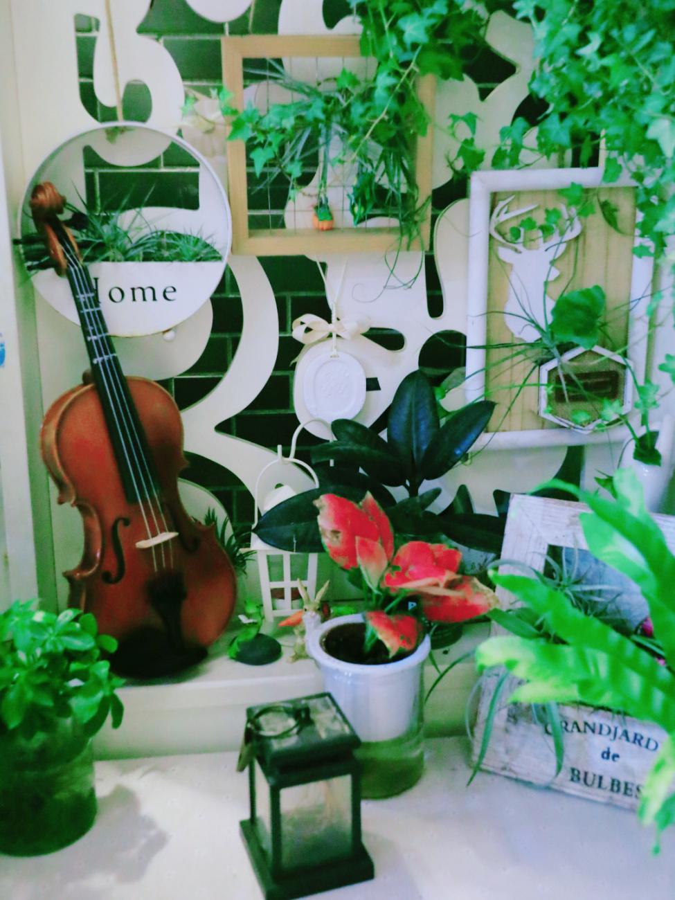 很多人羡慕的阳台,让别人羡慕的阳台