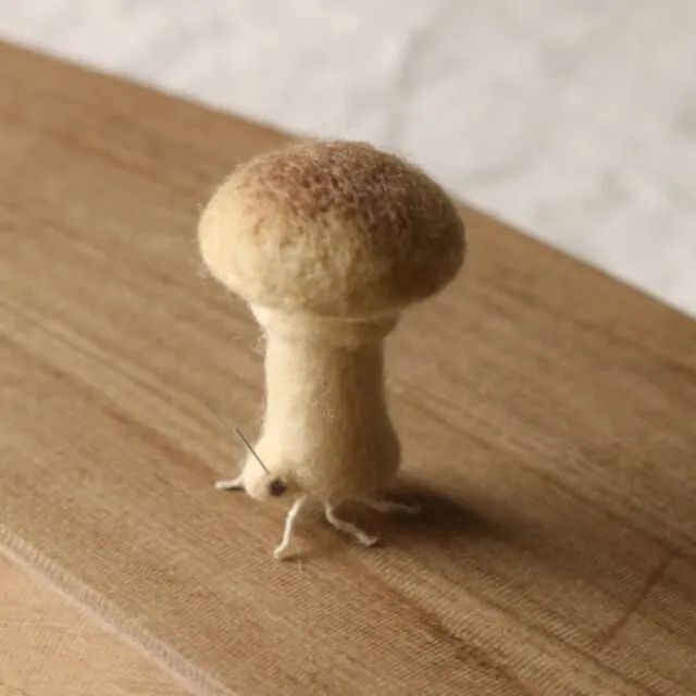 奇形怪状的羊毛毡,奇形怪状羊毛毡