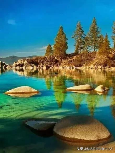 难得一见绝美一清二楚郁金香壁纸,难得一见雪景壁纸