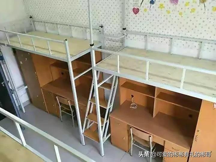 天津师范大学基础教育,天津师范大学基础建设