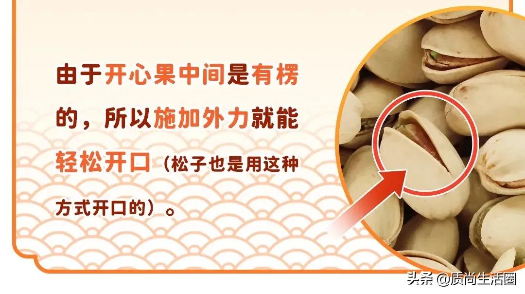 开心果饮品测评,开心果零食测评