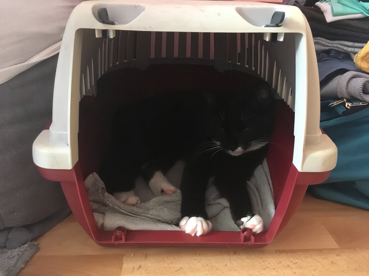 14个生活小技巧,14个生活小妙招大全