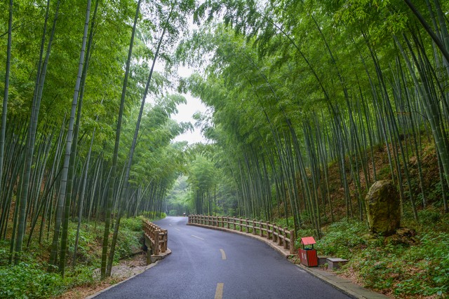 无锡是宜居城市吗,无锡和嘉兴哪个城市宜居