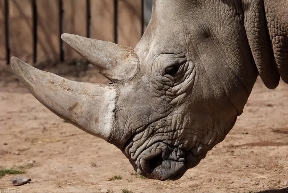 买饰品后被判刑,昆明一女子购买吊坠被判十年