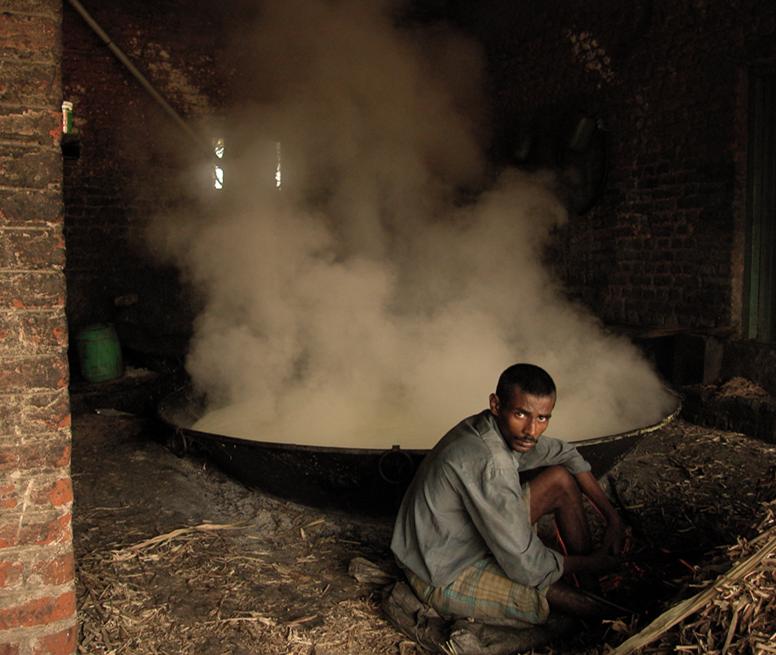 印度全部处于热带吗,印度主要位于热带和亚热带吗