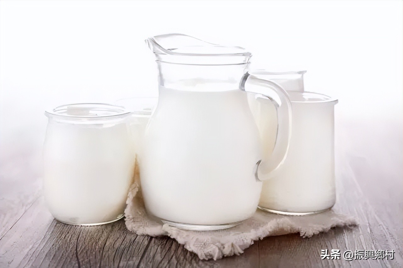 牛奶让日本人平均增高多少,日本人喝什么牛奶能长高
