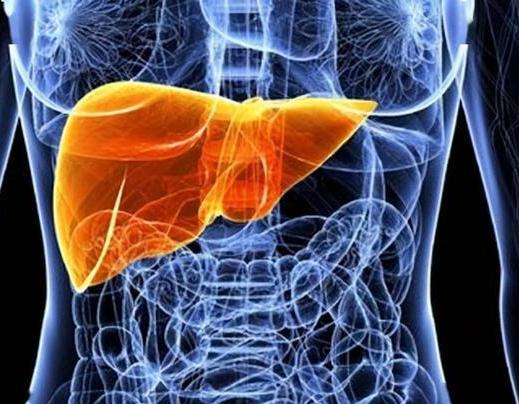 肝破裂是什么病？会危及生命吗？该如何治疗