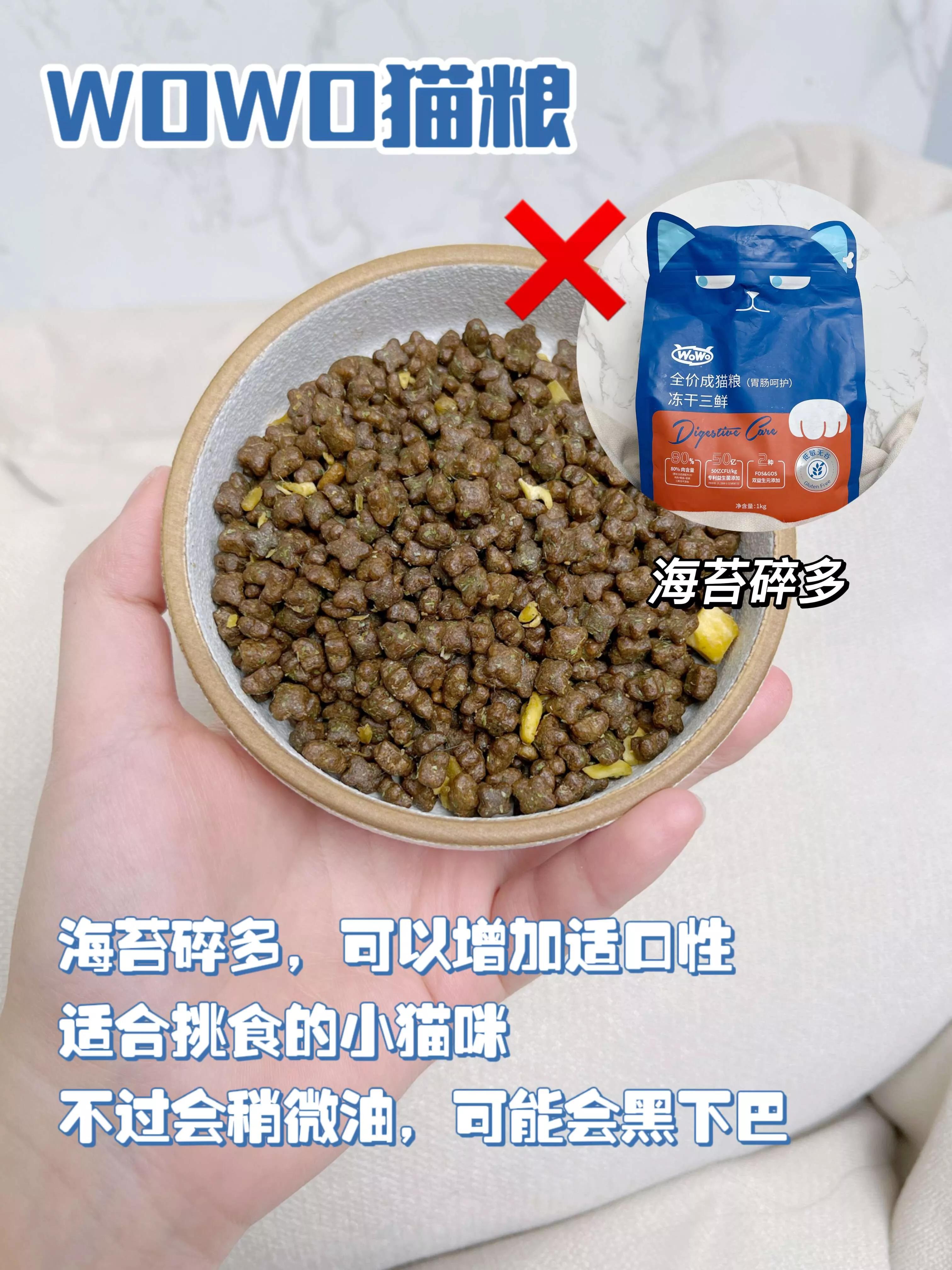 宠物店工作四年总结一些养狗知识,宠物店使用什么猫粮好些