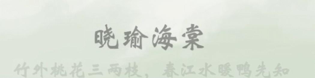 明明可以靠实力偏偏要靠才华,明明可以靠实力却偏偏靠颜值