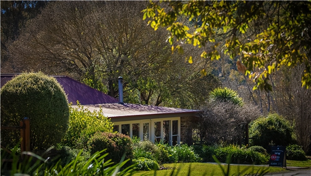 博芬红酒柜怎么样啊,博芬酒柜怎么样