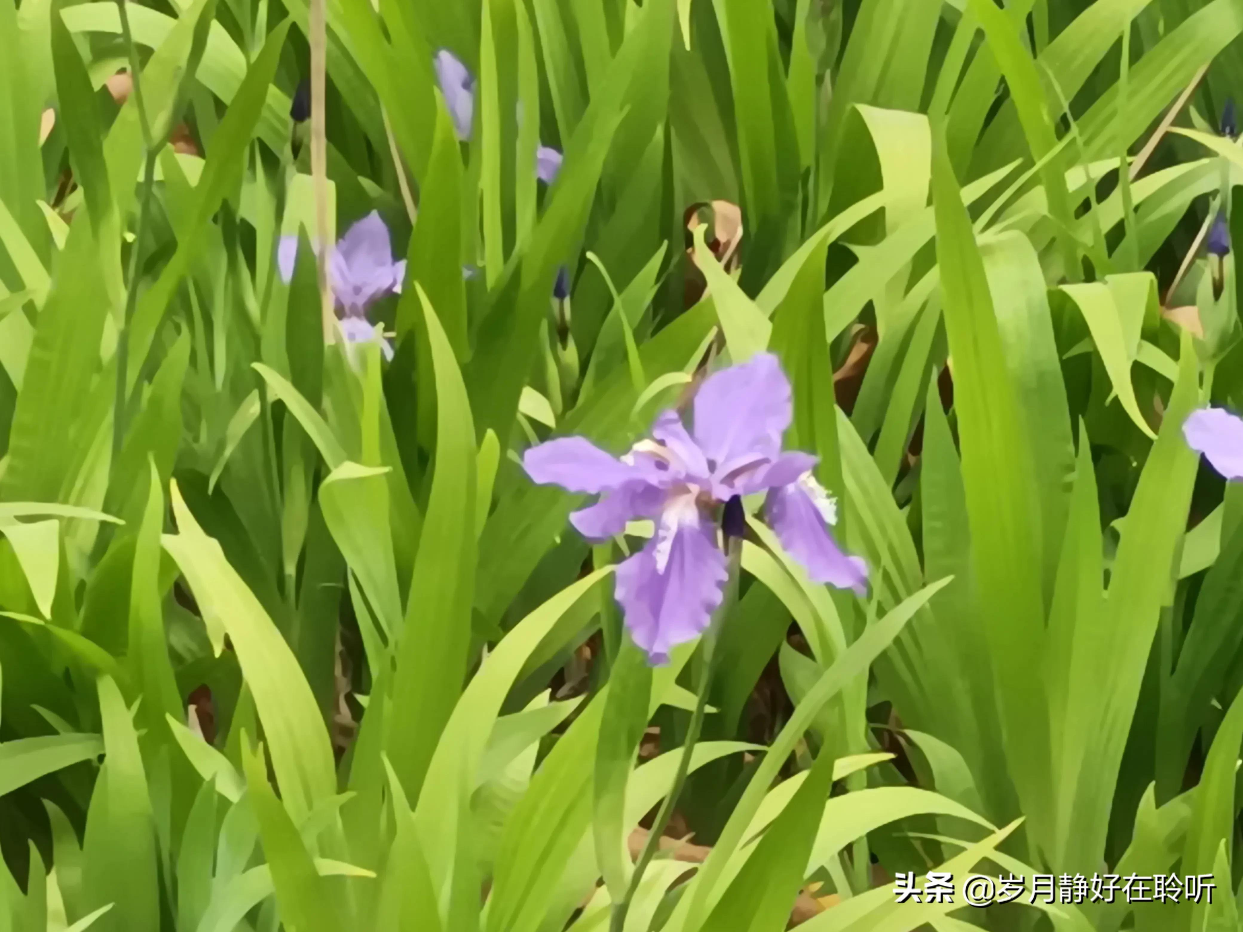 述职报告年度工作特点,述职报告年度经营指标完成情况