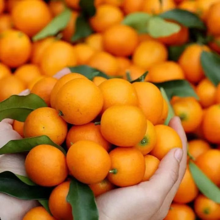 在广西，你永远不知道天上会掉下来什么