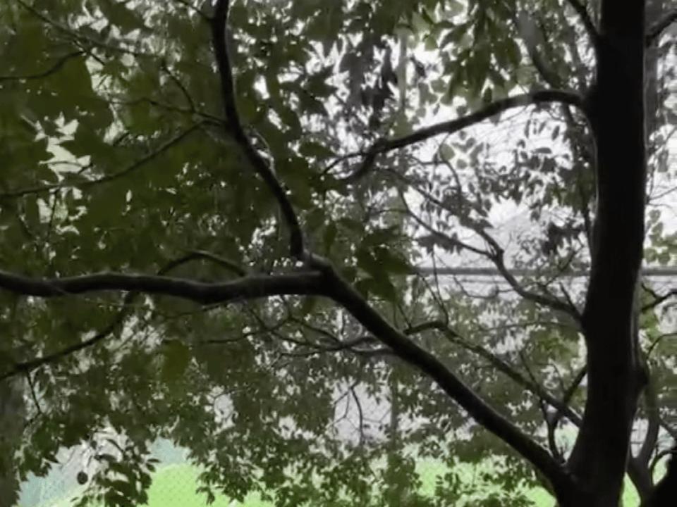 一切源于对足球的热爱,对于足球的热爱是刻在骨子里的