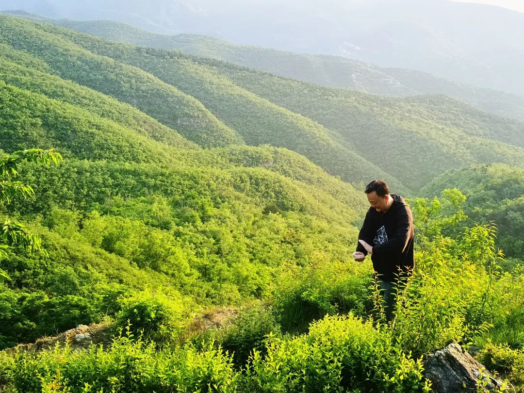 学中医学的好不好，一看就知道了