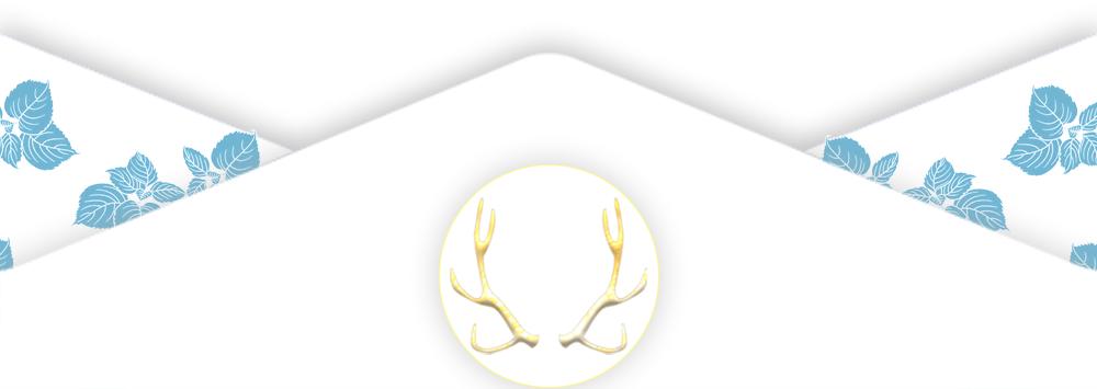 一位医生的真实讲述,一位医生的口述