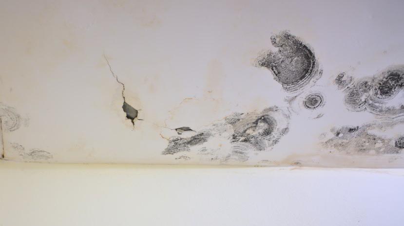 天花板上出现红色霉菌什么原因,家里天花板墙壁发霉如何去除霉菌