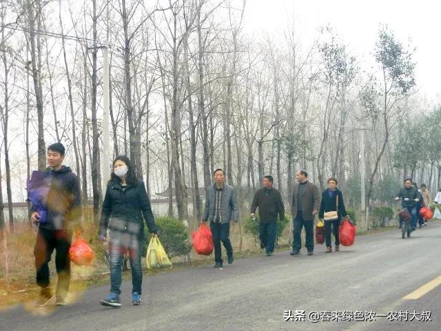 汪清不慎落水,汪清丢牛案始末