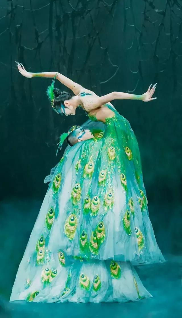 公孔雀老是啄母孔雀,公孔雀和母孔雀的日常生活