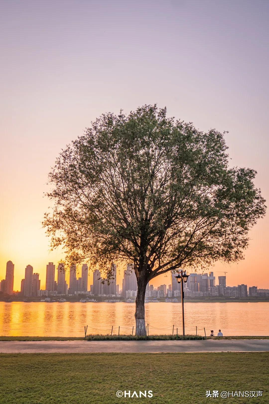 武汉重磅信息,武汉最新重磅利好