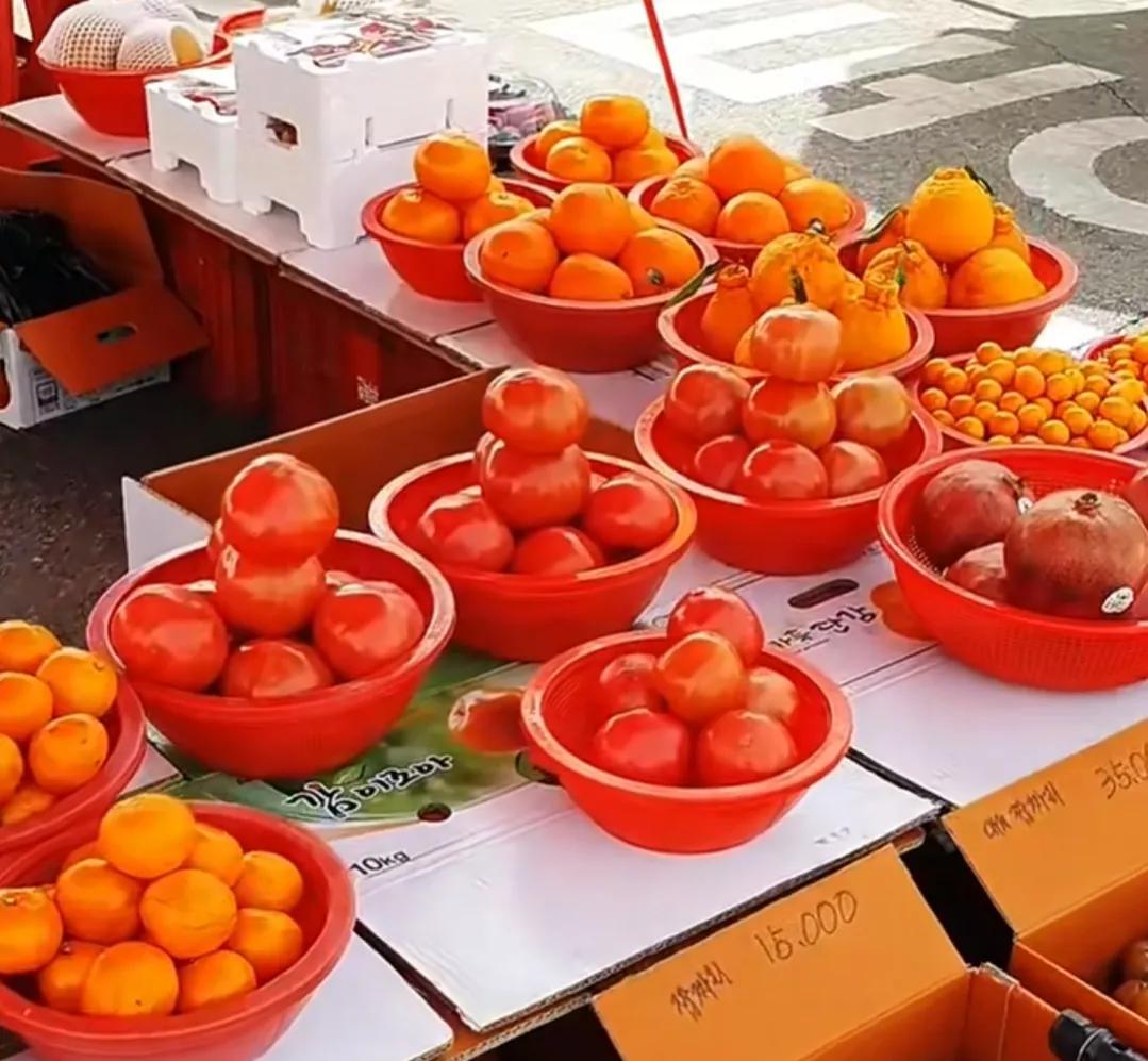 山东姑娘远嫁日本农村,山东姑娘远嫁大山的生活