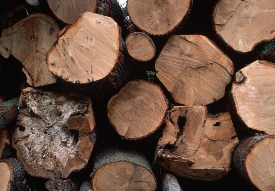 中世纪时期的英格兰村庄享有的林地共有权，包含了哪些内容？