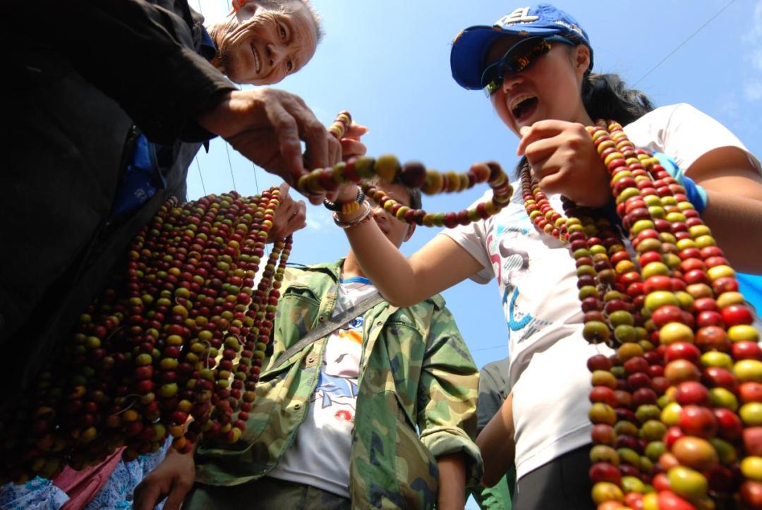 全球学子嘉游赣|中国博士县、世界台球城，一文带您游遍玉山县