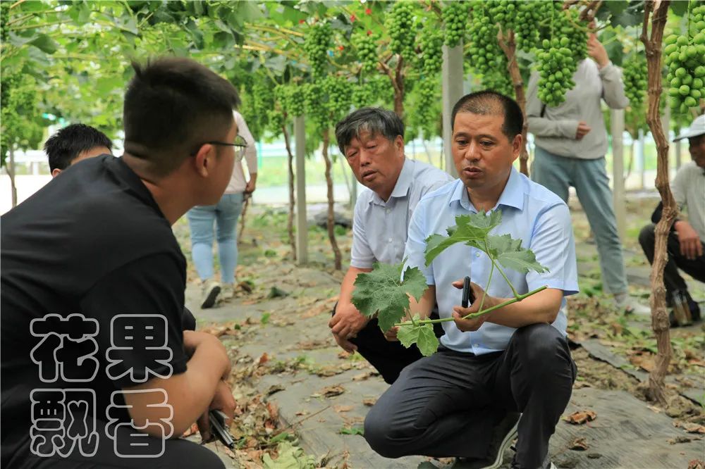 农业创收有妙招,农业应该怎么赚钱