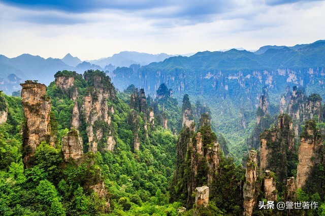 七律咏蜜蜂采花,七律打油诗50首