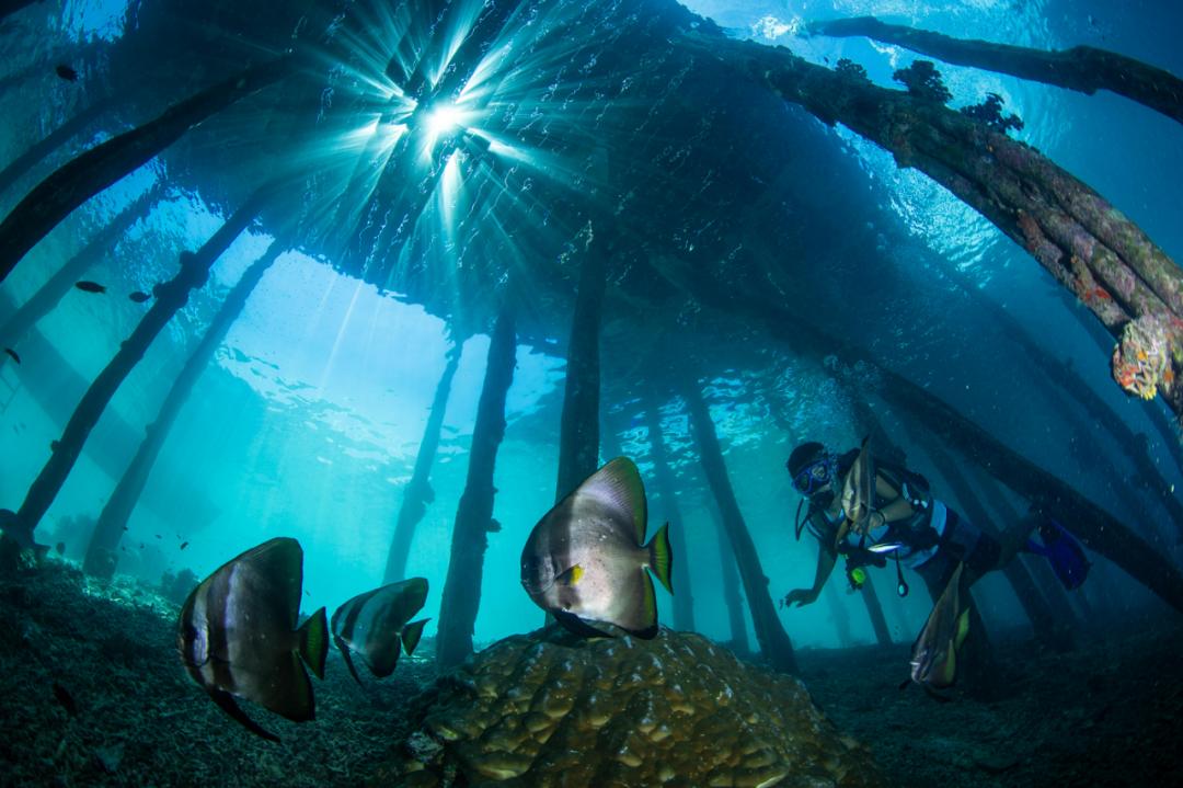 海陆空震撼炫酷视频,海陆空的全线飙战看得直呼过瘾