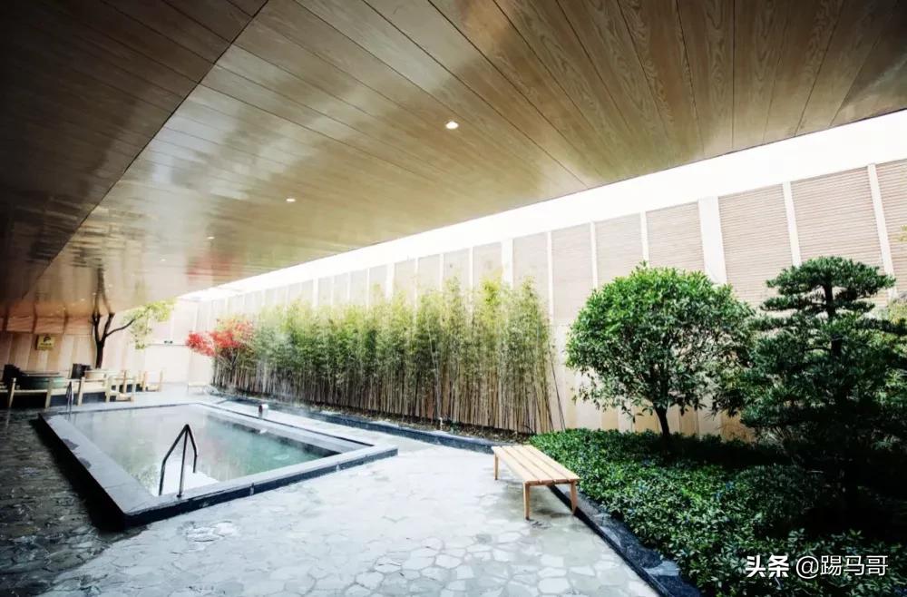 魔都泡汤指南丨卷出了新高度，“汤达人”告诉你哪家才是汤王