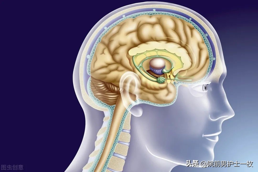 低钾性周期性麻痹怎么补钾,低钾老人吃哪些食物可以补钾啊