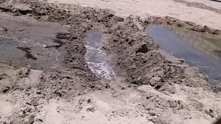 为什么草坪里面有很多水,不可思议的草坪水