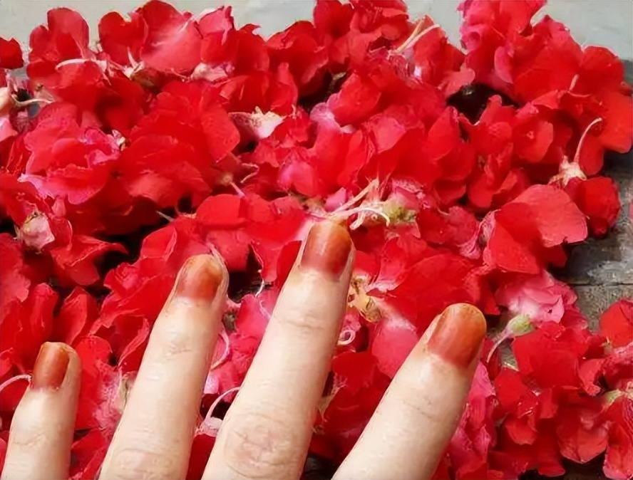 什么植物可以防止蛇,什么植物可以防蛇进家