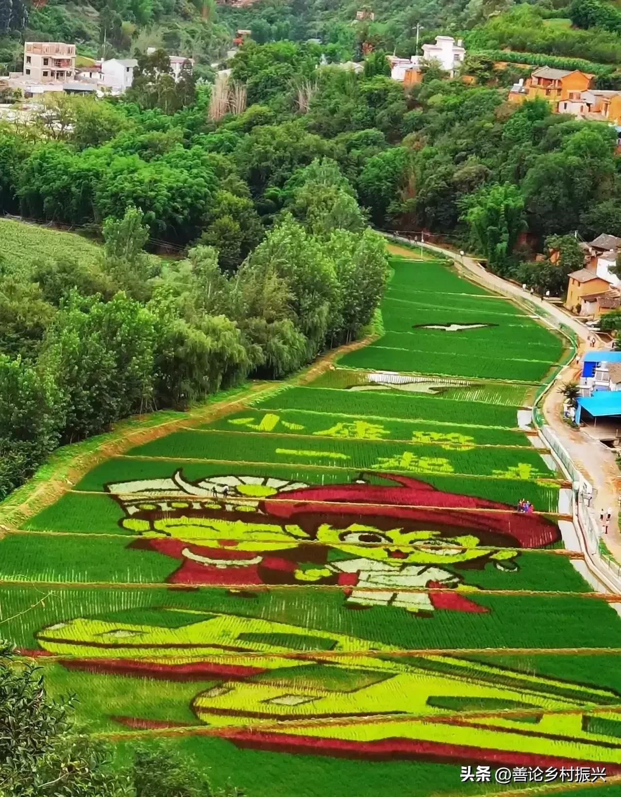 树敬老之风做孝道之人,百善孝为先中华孝道代代传