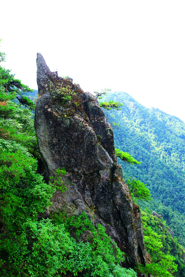 羊狮慕与张家界哪个好,江西明月山和羊狮慕哪个更值得去