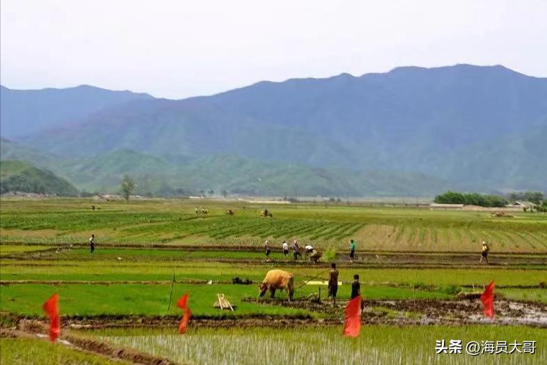 记录朝鲜现实生活中的点点滴滴,你想象中的朝鲜和现实中的朝鲜