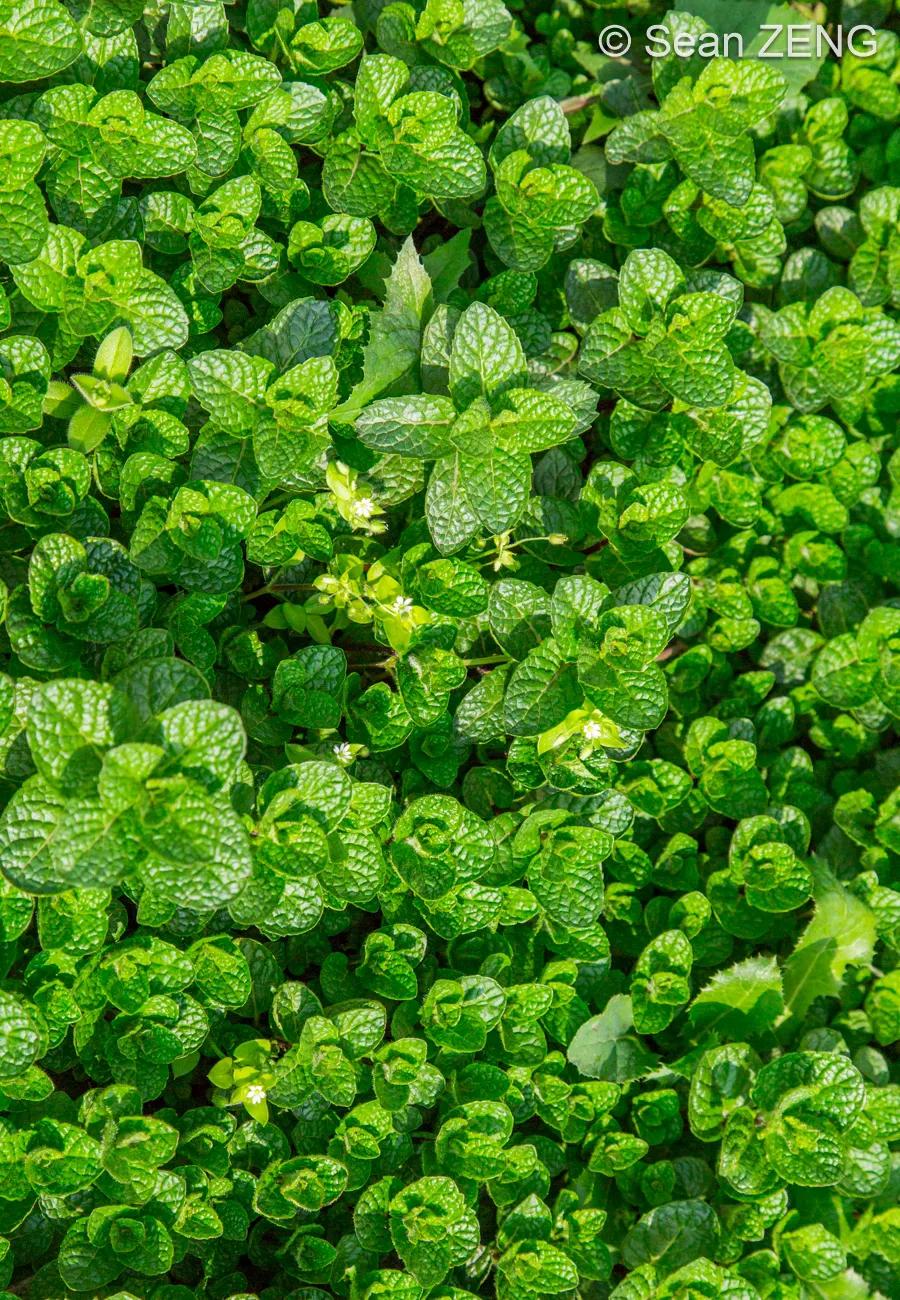 不负光阴不负野心,人不负青春自负什么意思